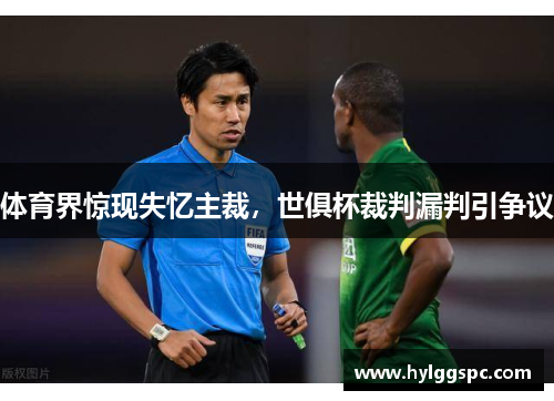 体育界惊现失忆主裁，世俱杯裁判漏判引争议